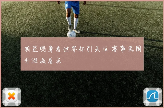 明星现身看世界杯引关注 赛事氛围升温成看点
