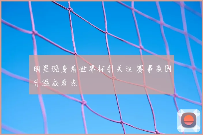 明星现身看世界杯引关注 赛事氛围升温成看点